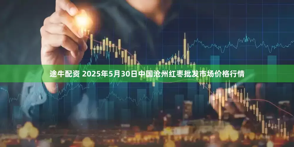 途牛配资 2025年5月30日中国沧州红枣批发市场价格行情