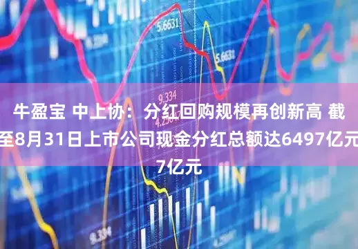 牛盈宝 中上协：分红回购规模再创新高 截至8月31日上市公司现金分红总额达6497亿元