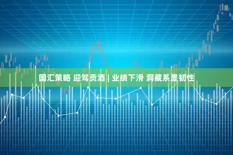 国汇策略 迎驾贡酒 | 业绩下滑 洞藏系显韧性